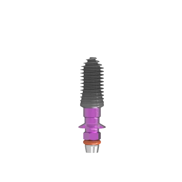 implant straumann