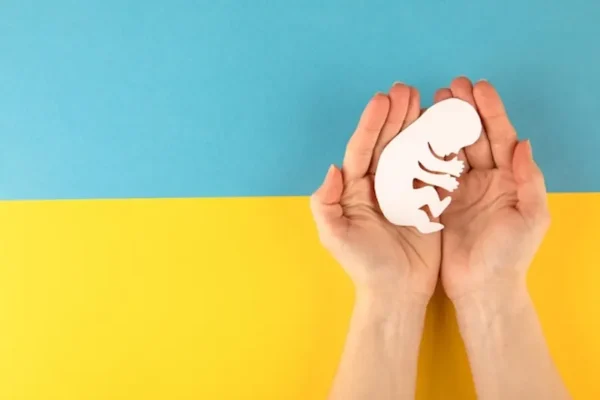 Facteurs cles pour une implantation embryonnaire reussie