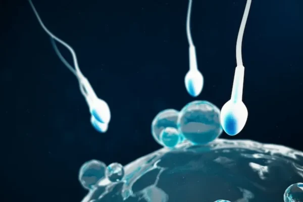 Limmunologie reproductive peut elle ameliorer les taux dimplantation