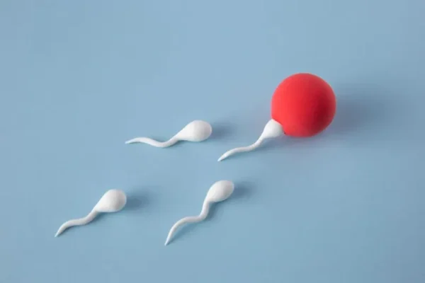 Échec d’implantation embryonnaire – causes principales et solutions possibles Pourquoi les implantations embryonnaires echouent elles Causes et solutions